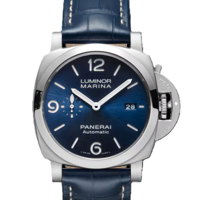 pam01313-1